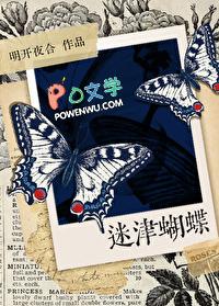 迷津蝴蝶 迷津蝴蝶