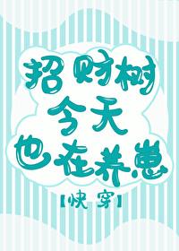 招财树今天也在养崽 招财树今天也在养崽